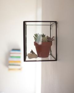 We lady — présentoir mural vintage en verre et laiton, boîte de terrarium, boîte à bijoux, jardinière - Product Image 2