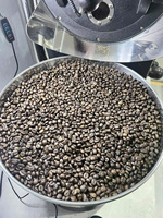 Café Arabica Bio Vert en Gros pour Machines à Expresso Commerciales – Robuste, Origine Hautes Terres du Vietnam