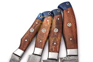 4PCS Handmade Damascus Kitchen <b>Knife</b> <b>Set</b> Wooden Handle Professional Chef <b>Knives</b> Cooking Cutlery <b>Set</b> - Product Image 3