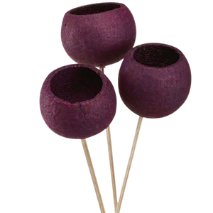 Bell Cup Natural Dried on Stem Christmas Decorative Home Decorative Item with Different Sizes Colors Eco-Friendly West Bengal - Product Image 5