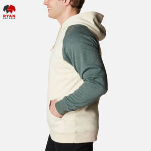Sweat-shirts à capuche unis pour hommes Ryan Pro Gear avec logo personnalisé, style pull-over, 100 % coton molletonné respirant, design ODM pour l'hiver - Product Image 4