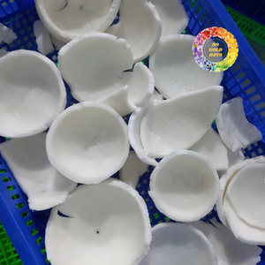 เนื้อมะพร้าวอ่อนแช่แข็งคุณภาพสูงราคาถูกจากเวียดนาม |   ส่งออกทั่วโลก - CARYLN - Product Image 1
