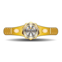 Ceinture de championnat du monde poids lourd de haute qualité à prix abordable pour la lutte, designs personnalisés, doublure en cuir durable, unisexe