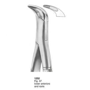 Pinzas de Extracción Modelo Americano |   Instrumento Dental Vitra Instruments Modelo 1252 Clase I de Acero Inoxidable Premium - Product Image 3