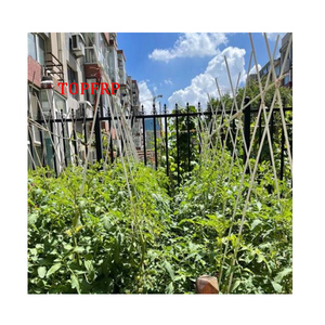 Tiges de soutien pour plantes résistantes aux UV, à une extrémité, pour pépinières et jardins - Product Image 1