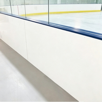 Panneaux de protection de patinoire de hockey sur glace professionnels en HDPE pour la construction d'arenas – Vente en gros usine
