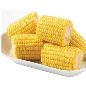 ข้าวโพด GMO คุณภาพพรีเมียม ขายส่งราคาพิเศษ พร้อมส่งออกทั่วโลก - Product Image 1