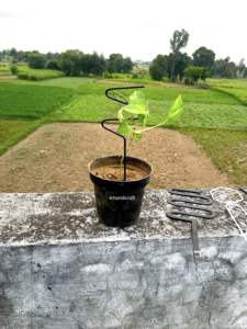 Enrejado de Acero para Jardín y Hogar, Moderno, Ecológico, Económico, con Recubrimiento en Polvo, Certificado a Prueba de Roedores, Soporte para Modelos 3D - Product Image 4