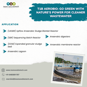 Probióticos de cultivo bacteriano anaeróbico para la degradación de compuestos orgánicos - Product Image 5