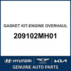 Nouveaux joints et garnitures Elantra 209102MH01 - Product Image 1