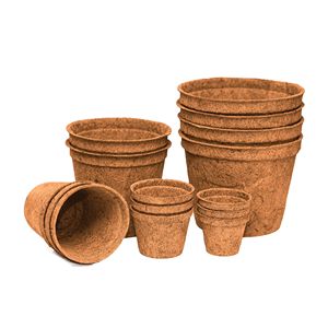 Maceta de Fibra de Coco Sostenible, Contenedor de Vivero Biodegradable Natural para Uso Doméstico, en Jardines y Comercial - Product Image 3