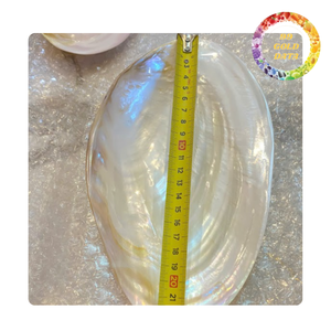 Natural Polished Shell Plate Mother of Pearl Decorative Plate for Event Decoration - Product Image 5