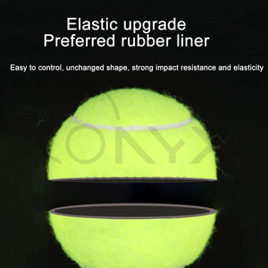 Juego de 6 Pelotas de Tenis Duraderas, Ligeras, de Alta Elasticidad, con Bolsa de Malla Portátil, para Entrenamiento Profesional y Competición - Product Image 3