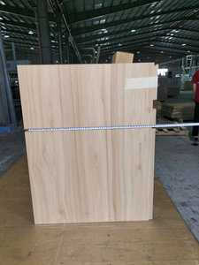 SANYANG Modern Birch MDF Kitchen Cabinet Door <b>Panel</b> <b>Light</b> Oak Finish Easy Installation - Product Image 5