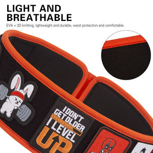 Custom LOGO Powerlifting Weightlifting Gym Belt Waist <b>Back</b> <b>Support</b> Weight Lifting Belt - Product Image 3