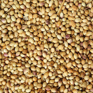 เมล็ดผงยี่หร่าอินเดียแท้จากกูร์กาฏ์ 1 กก. สำหรับการแปรรูปขนาดใหญ่ในระดับโลก - Product Image 4