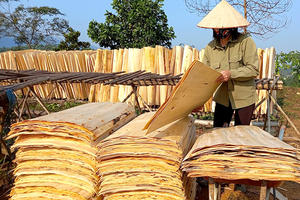 ไม้วีเนียร์ราคาถูกทุกขนาด ไม้ธรรมชาติราคาประหยัดสำหรับตลาดสหรัฐอเมริกา - Product Image 5