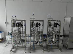 Biorreactor de Acero Inoxidable Pilot, Equipo de Fermentación Industrial Probiótico, Reactor de <span class=keywords><strong>Flujo</strong></span> Continuo, Bomba de Motor Automática, 15L - Product Image 6