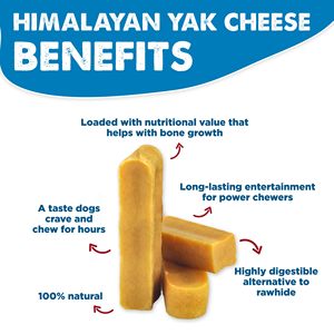 Friandises à mâcher pour chiens au lait de yak de l'Himalaya OEM ODM, Nuggets riches en protéines, saveur longue durée, pour la santé des articulations et dentaire, approvisionnement en vrac - Product Image 3