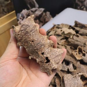 Chispas de Agarwood 100% Naturales AAA+, Madera Aromática Dulce Intensa, Material para Quemador de Incienso, Sándalo, Uso Durante Toda la Temporada - Product Image 4