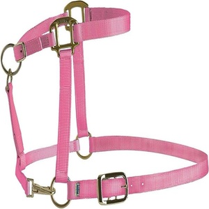 Cabestro para caballo de nailon grueso hecho a mano y colorido, con herrajes ajustables de acero inoxidable. - Product Image 5