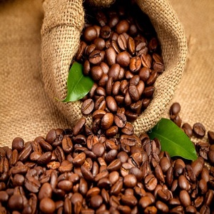 Café non torréfié de qualité supérieure, café vert biologique en gros, Arabica & Robusta, 100% naturel, haute qualité pour l'exportation - Product Image 4