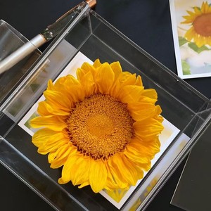 ดอกทานตะวันอบแห้งขนาด 9-10 ซม. ขายส่ง สำหรับงาน DIY และจัดดอกไม้ วันแม่ วันวาเลนไทน์ - Product Image 1