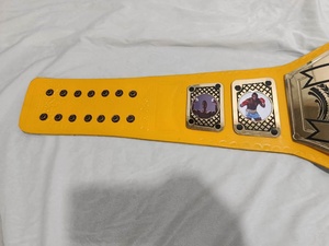 Ceinture de champion personnalisée avec plaque en métal jaune et boucle en alliage - Product Image 3
