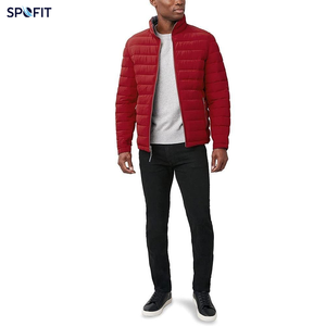 Hot Selling Latest Design <b>Lightweight</b> Winter <b>Casual</b> Men Puffer <b>Jacket</b> with Zipper Stand Collar Customized Color - Product Image 4