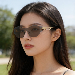 Nouvelles Lunettes de Soleil 2026 Tout-en-un en PC pour Femmes et Hommes – Monture Tendance et Élégante – Lunettes de Luxe - Product Image 5
