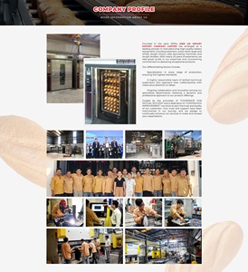 Vietnam Manufacturer's High Demand Bread Steamer Oven 1-Year Warranty Custom OEM ODM Home Use Bakery PE Wooden Pallet New - Product Image 6