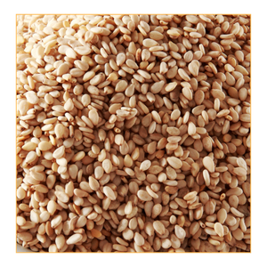 Graines de sésame naturelles blanches et noires, haute teneur en huile, pureté 99%, certifiées APEDA, emballage sous vide pour tahini et confiserie - Product Image 1