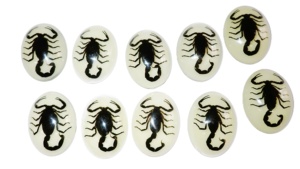 Escorpión Negro, Espécimen Real, Cabujón de Plástico Ovalado de 30x40 mm, Base Plana Brillante para Manualidades y Joyería - Product Image 6