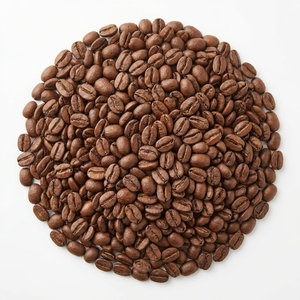 เมล็ดกาแฟอาราบิก้าคั่วกลางเข้ม ราคา 300-400 ดอลลาร์สหรัฐ/ตัน สำหรับการสกัดรสชาติเข้มข้น กาแฟอาราบิก้าขายส่ง ขั้นต่ำ 10 ตัน - Product Image 1