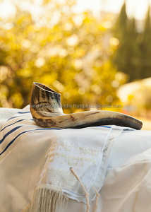Auténtico CUERNO DE Shofar hecho a mano de Israel tallado estilo Ángel tradicional acabado medio pulido para colección de uso ceremonial - Product Image 3