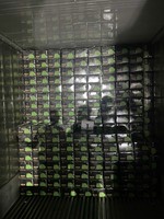 Export Standaard Biologische Pitloze Lime Vietnam Lang Hoge Premium Kwaliteit Verse Groene Groothandel Bulk Hoeveelheid TECHMIFOOD Merk