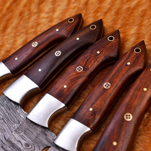 Ensemble de couteaux de chef PRESTIGE BLADES en acier Damas, 5 pièces, manches en bois ambidextres, lames affûtées et durables, couverts de cuisine faits à la main - Product Image 1