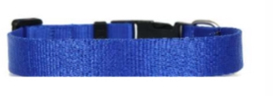 Collar de Nailon Colorido para Perros, para Uso Diario y Entrenamiento, de Divine International - Product Image 1