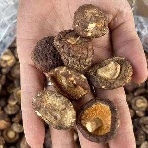 เห็ดชิตาเกะแห้งคุณภาพสูงเกรดอาหารจากเวียดนาม วัตถุดิบสดใหม่ 100% คุณลิลลี่ - Product Image 1