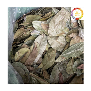 ใบชาเพื่อสุขภาพตามธรรมชาติ |   ผู้ผลิตสมุนไพรฝรั่งอบแห้งแบบ OEM จำนวนมากจากเวียดนาม - Product Image 1