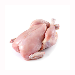 ขาไก่แช่แข็งคุณภาพสูง / ไก่ทั้งตัวแช่แข็ง / ปีกไก่แช่แข็ง - Product Image 6