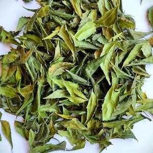 Hojas Secas de Neem Indio (Corte para Té) Más Vendidas para Extracto Herbal y Preparación de Té - Terra Bio Naturals, 18 Meses de Vida Útil - Product Image 3