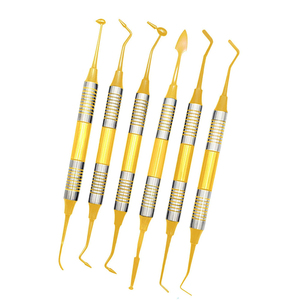 Nuevo Kit de Instrumentos Dentales Compuestos XELTECH SURGICAL, 6 Piezas, Juego de Raspadores Dentales con Punta Plateada, Calidad Manual Grado A+, CE - Product Image 1