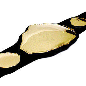 Placas Laterales de PU Negro con Diseño de Escudo Central en Blanco para Cinturón de Campeonato Profesional de Alta Calidad, No Tóxico, de 25 MM, Color Dorado Personalizado - Product Image 5