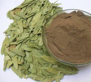 Extracto de Senna en Polvo Más Vendido, Extracto Natural y Puro de Cassia Angustifolia, Compre Directamente del Proveedor a Precio de Mayoreo - Product Image 2