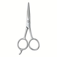Ciseaux de précision professionnels en acier inoxydable, irisés arc-en-ciel, pour hommes et femmes, pour sourcils, barbe, moustache et poils du nez
