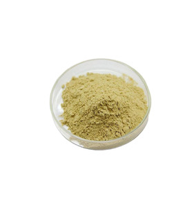 Lecitina Premium para Aplicaciones de Procesamiento de Alimentos - Product Image 1