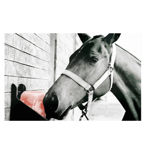 Blocs de sel minéral naturel de l'Himalaya, ronds, exportés, alimentation animale pour bovins, chevaux, chiens, sel à lécher de l'Himalaya 100% naturel - Product Image 3