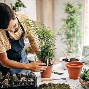 Varillas de Cobre Orgánico de Larga Duración para la Activación del Suelo en Agricultura Orgánica y Apoyo al Crecimiento de Plantas al por Mayor - Product Image 3