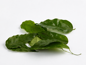 Feuilles de Tiliacora Triandra Congelées Premium Emballées Sous Vide pour Boissons à la Gelée de Herbe Verte et Exportation - Product Image 1